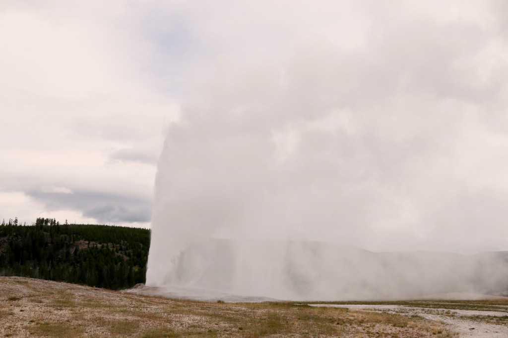 wYellowstone15 (508)a