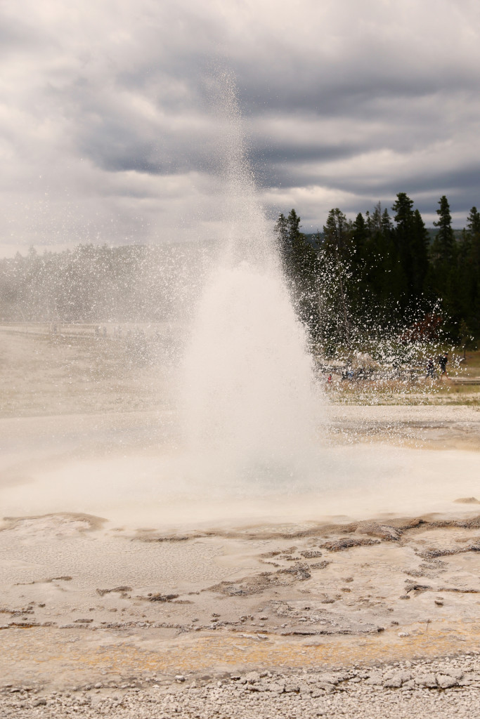 wYellowstone15 (536)a