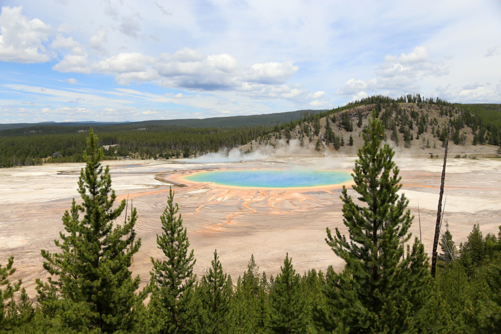 wYellowstone15 (584)a