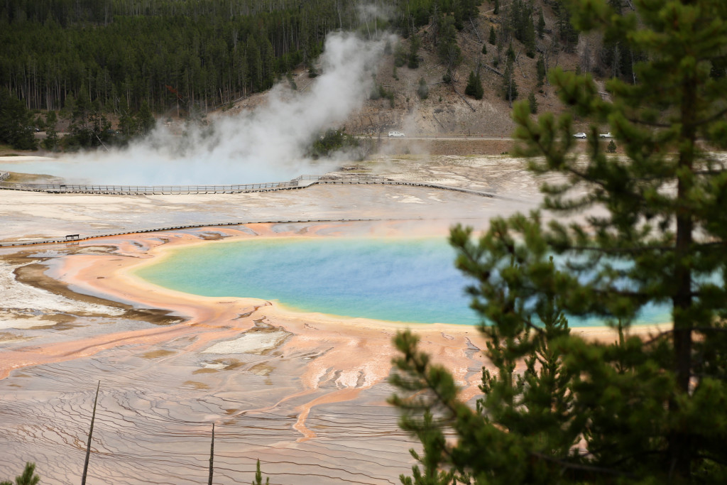 wYellowstone15 (586)a