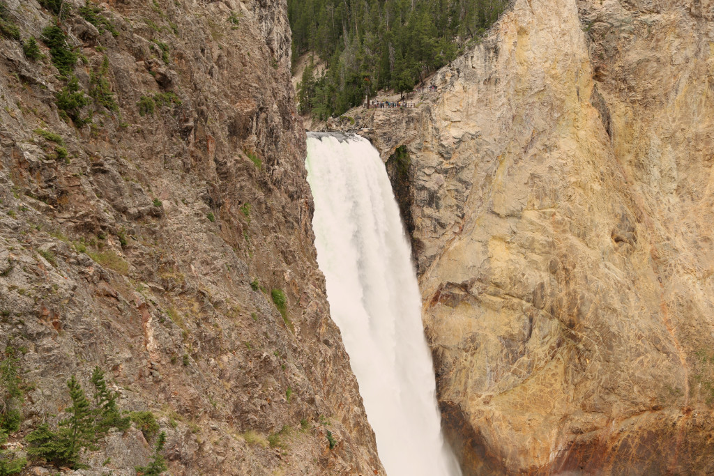 wYellowstone15 (788)a