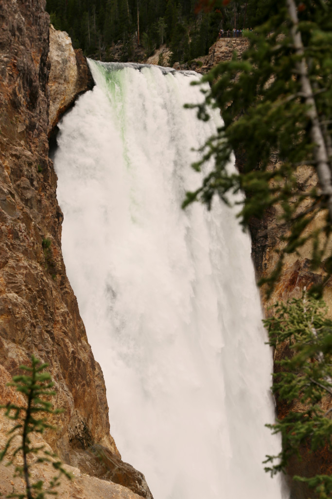 wYellowstone15 (800)a