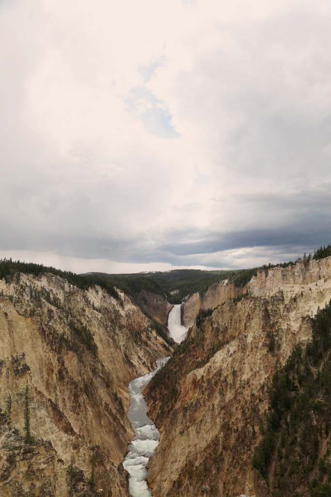 wYellowstone15 (828)a